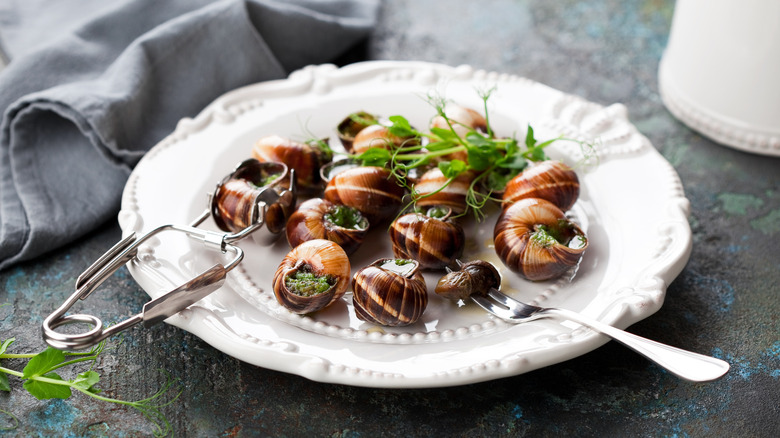 burgundy style escargots