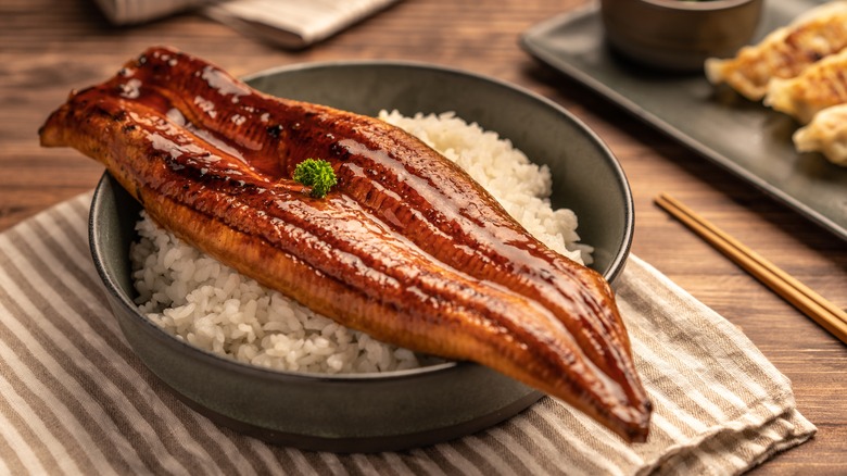 Grilled unagi with rice