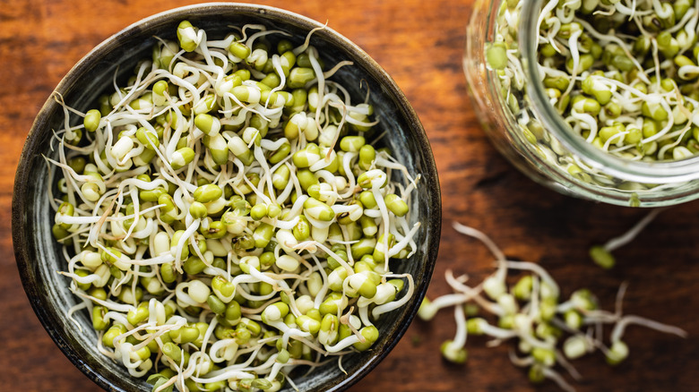 Sprouted Mung Beans