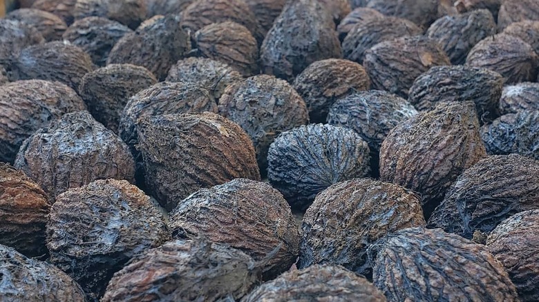 black walnuts