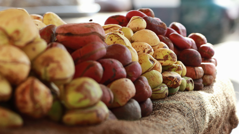 pile of kola nuts