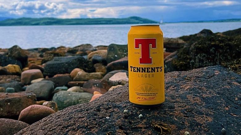 A can of Tennent's lager sitting on rocks beside a loch