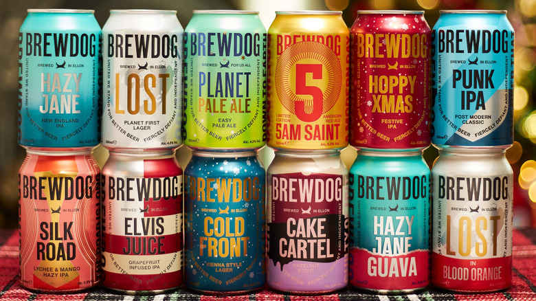 A wide selection of 12 BrewDog beers being presented to camera
