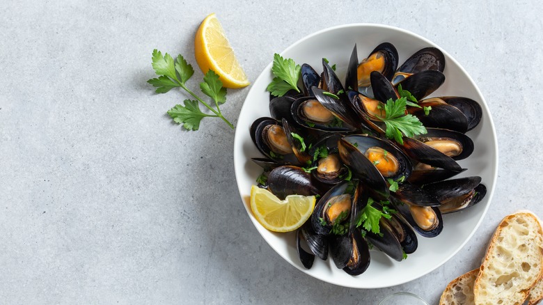 Cooked mussels bowl