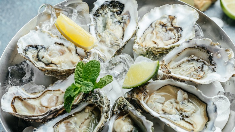 Fresh raw oysters platter