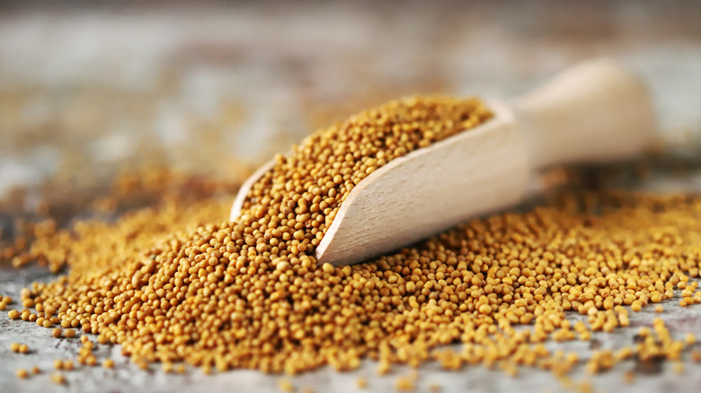 Pile of mustard seeds 