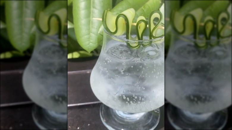 Cocktail with cucumber garnish