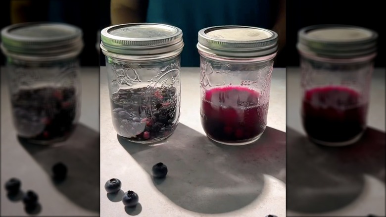 Fresh vs. frozen fruit infusion