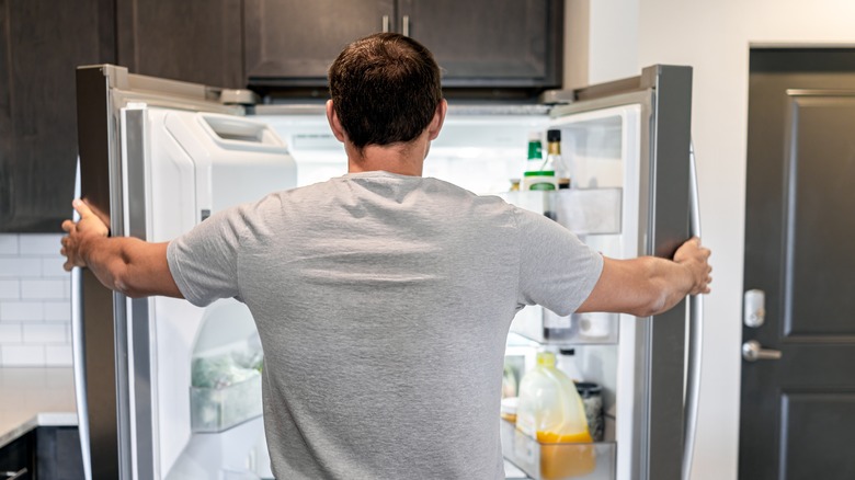 Person standing in open refrigerator 