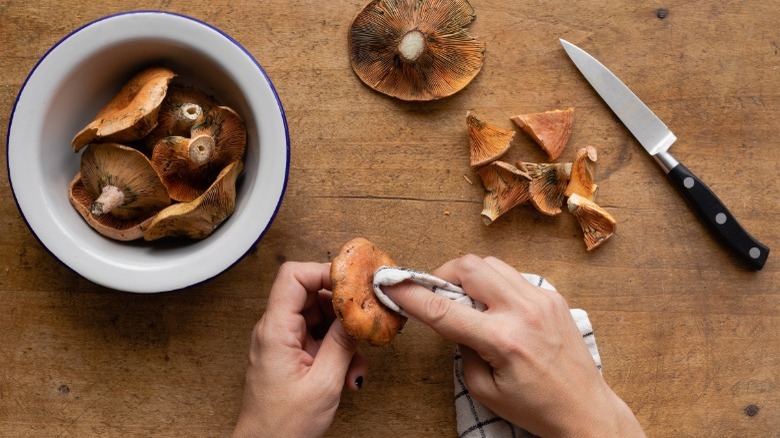 Cleaning forest mushrooms with towel