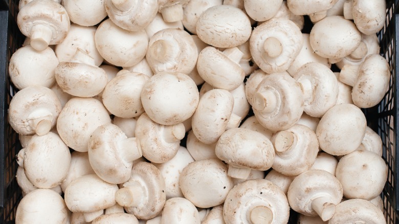 Fresh champignon mushrooms in crate