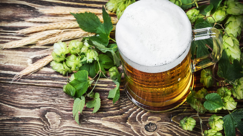 Light beer on a wood table with hops