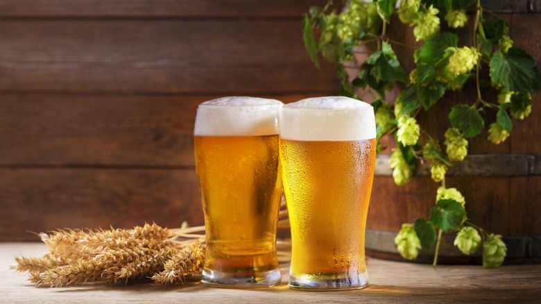 Two glasses of beer with wheat sheaves