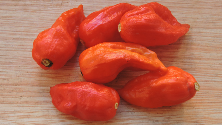 Bhut jolokias on wooden background