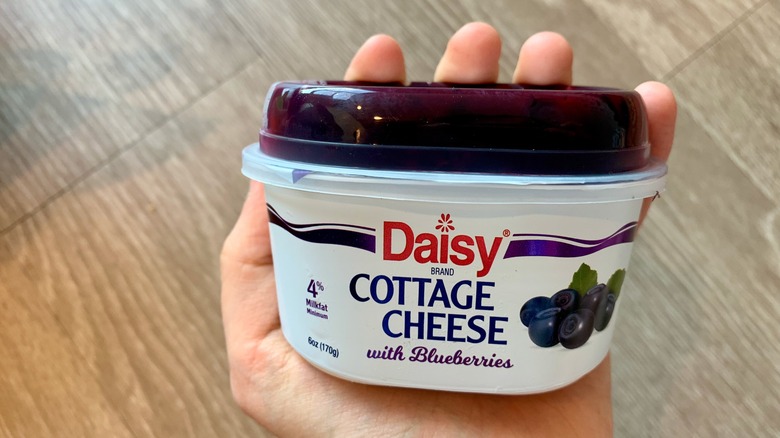 Daisy Cottage Cheese with Blueberries