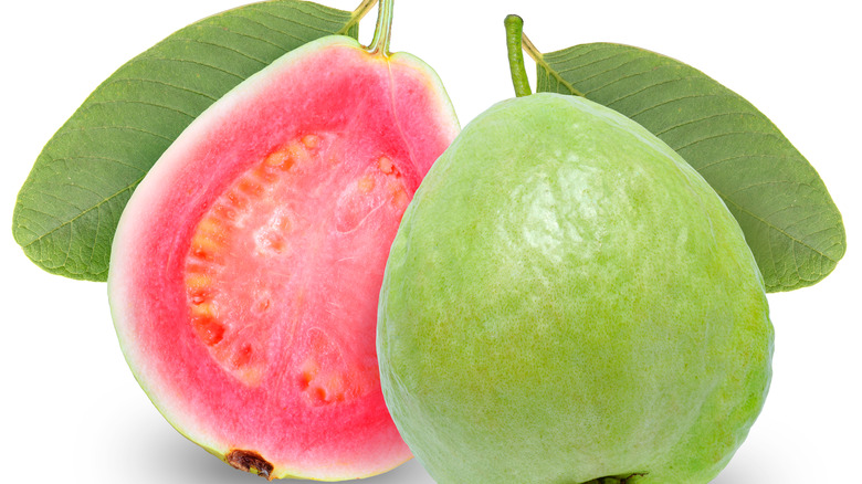 Guava fruit and leaves