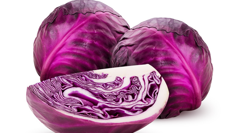 Red cabbage on white background