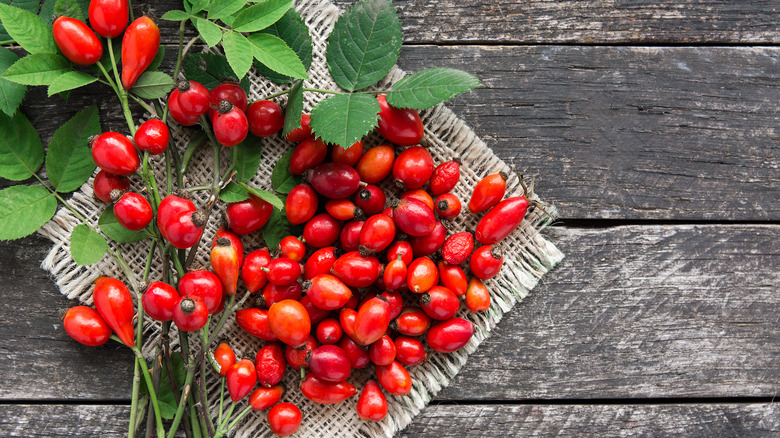 Rose hips on wood background