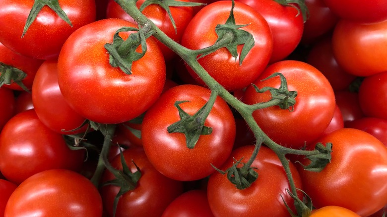 Tomatoes on vine