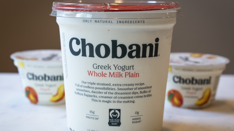 Chobani whole milk yogurt cups