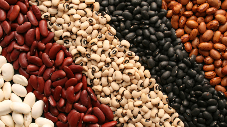 Diagonal stripes of bean types