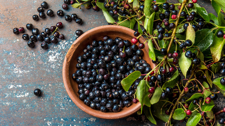 Bowl of maqui berries