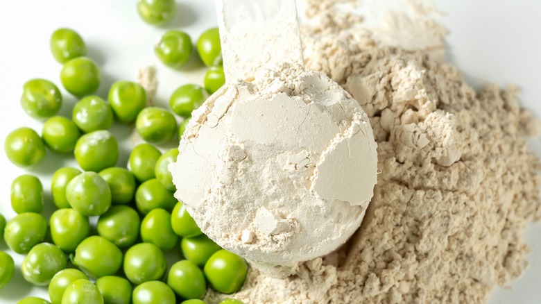 Pea protein powder