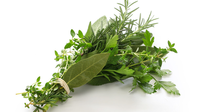 Bunch of green herbs tied with twine