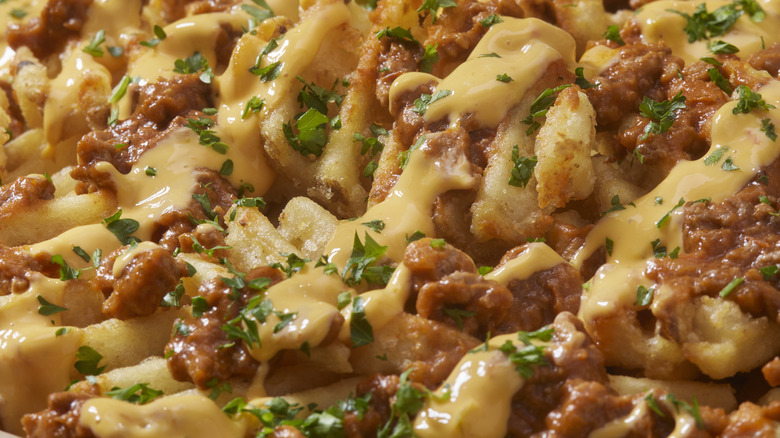 Loaded french fries in bowl