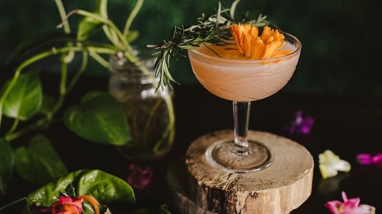 Alchemist Garden cocktail