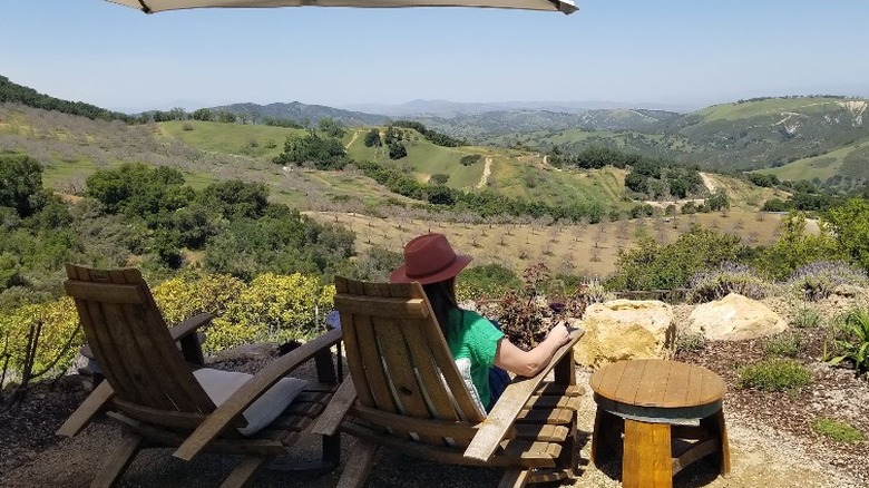 Daou Vineyards view