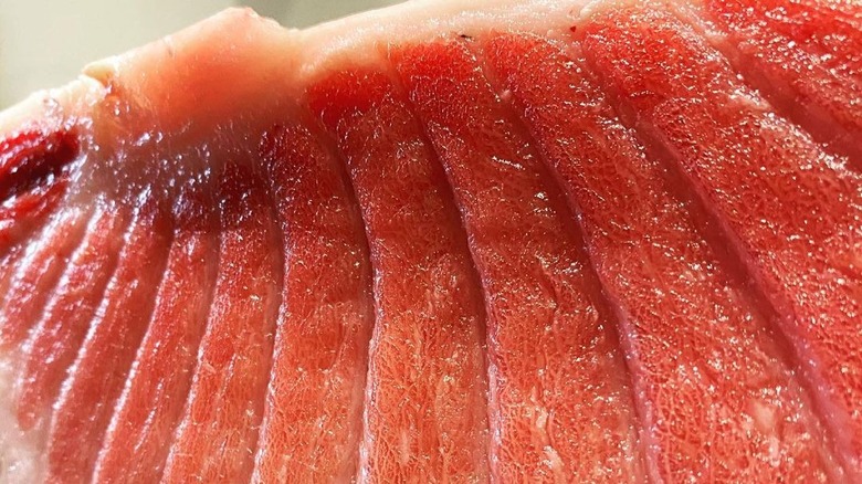 Jumbo bluefin tuna at Sushi Jin