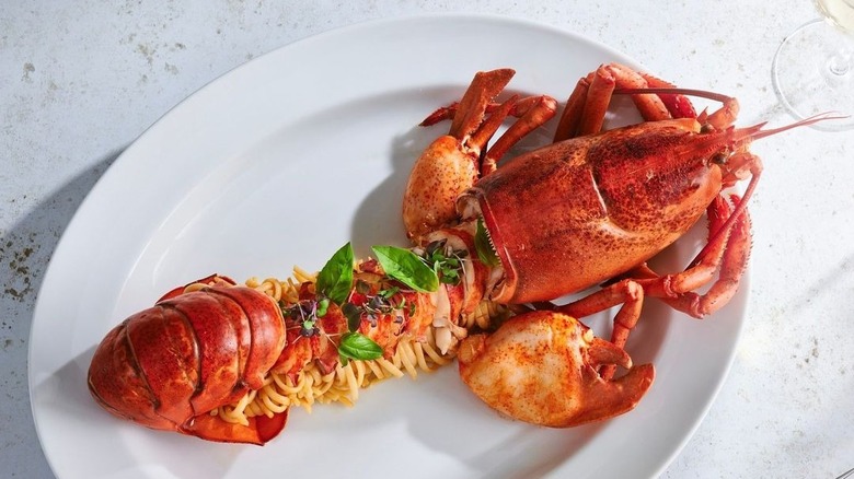 Lobster on a plate