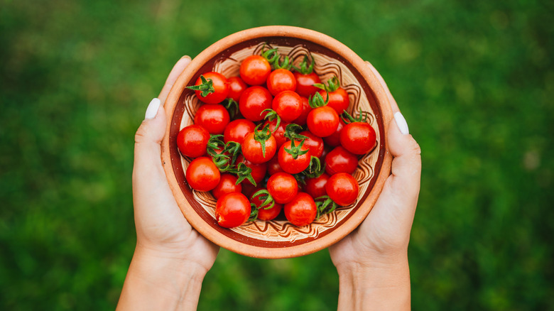 Hands holding cherry tomato basket