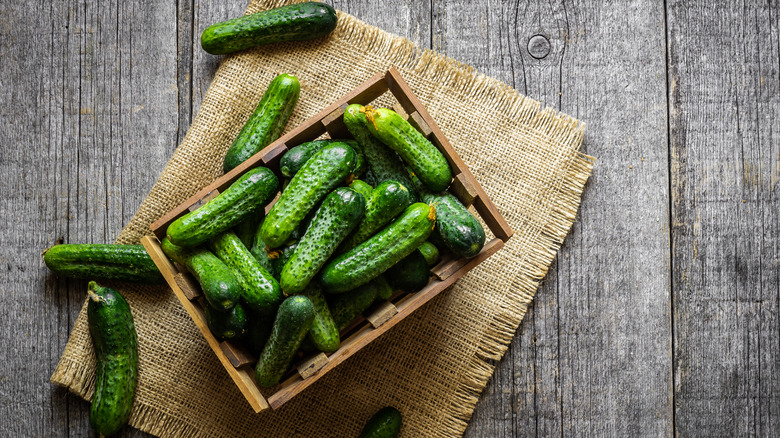 Gherkin cucumbers in crate