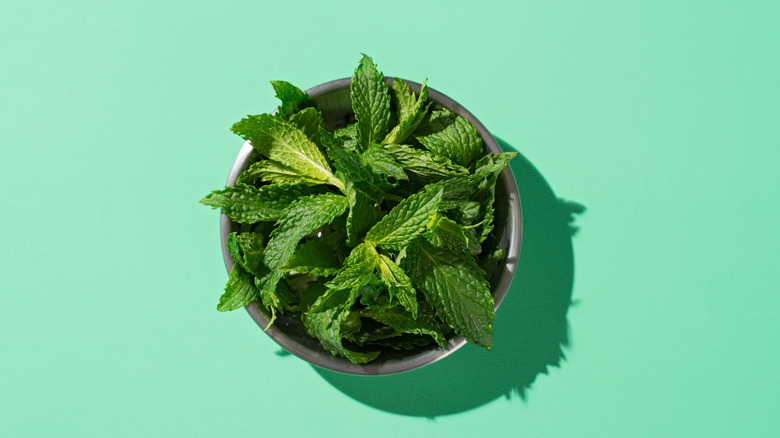 Bowl of fresh mint