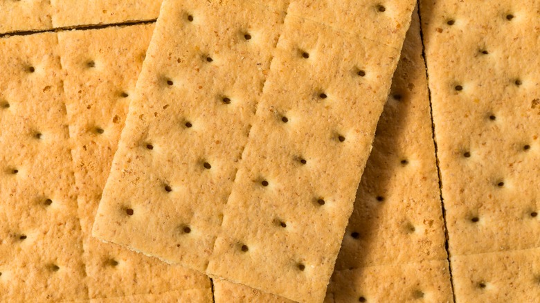 Graham cracker pieces