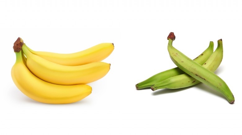 Bananas and green plantains