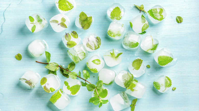 Herbs frozen in ice cubes