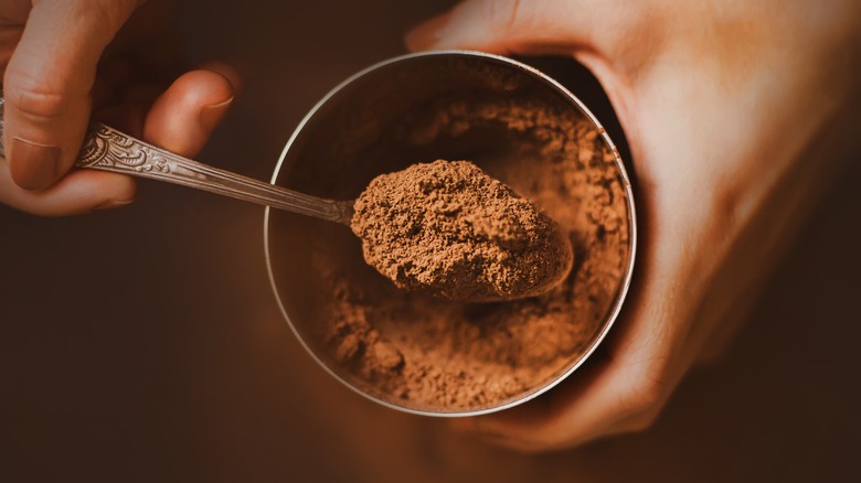 Cocoa powder on spoon