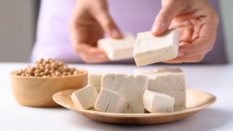 Hands holding tofu