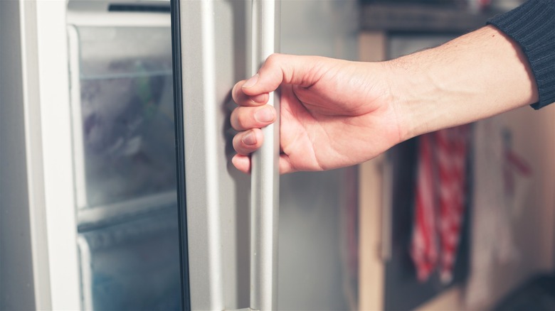 Hand opening freezer door