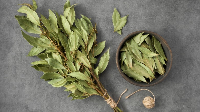 bunch of dry bay leaves