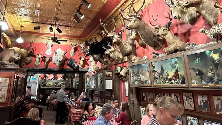 Taxidermy game heads in restaurant