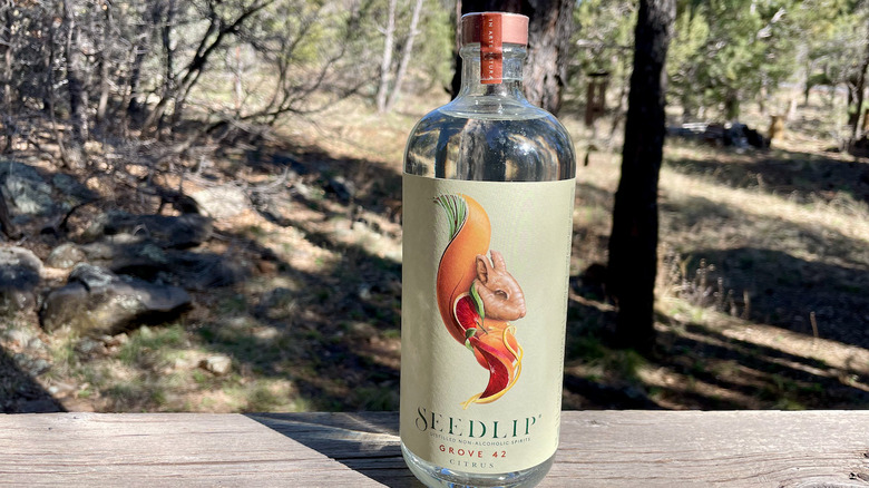 Bottle of Seedlip Grove 42