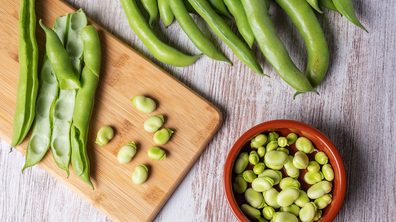 shelled fava beans and pods 