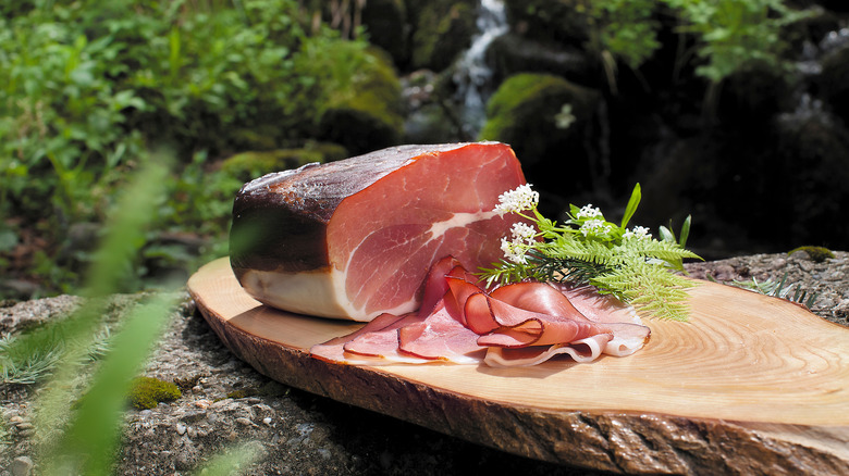 ham in forest setting