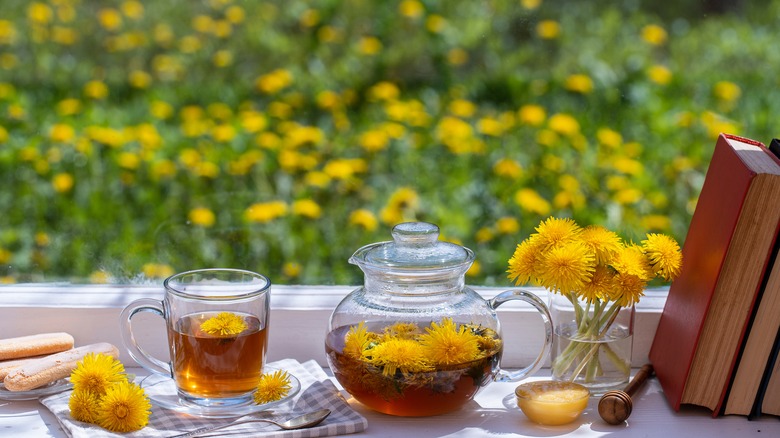 dandelion flowers in tea pot