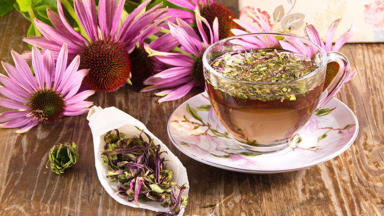 Echinacea flowers and tea