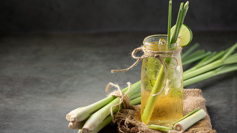 stalk of lemongrass and tea